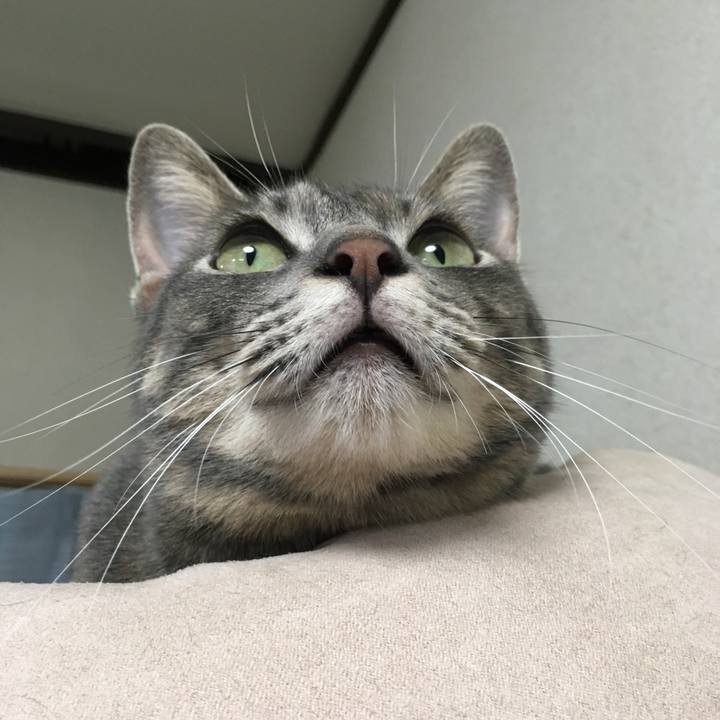 Ef6899d1 bd72 46d5 9972 de22c24fbfe1