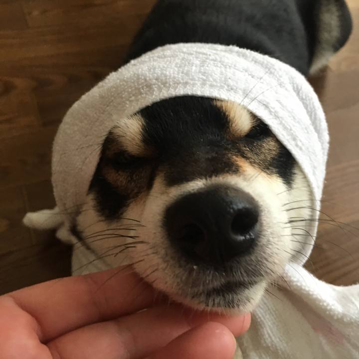 Ef68a306 733b 4169 9c8e 14f2e97c4964