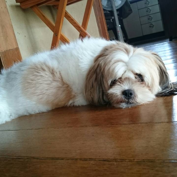 Ef697e96 c7b7 4d20 b0e2 a37cc9c418e2