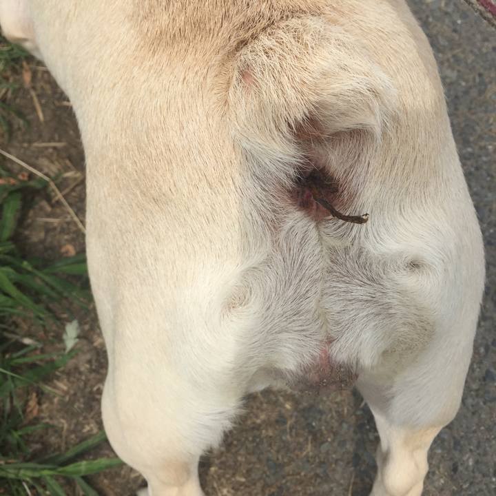 Ef699831 7248 4698 9c11 d46a9495b565