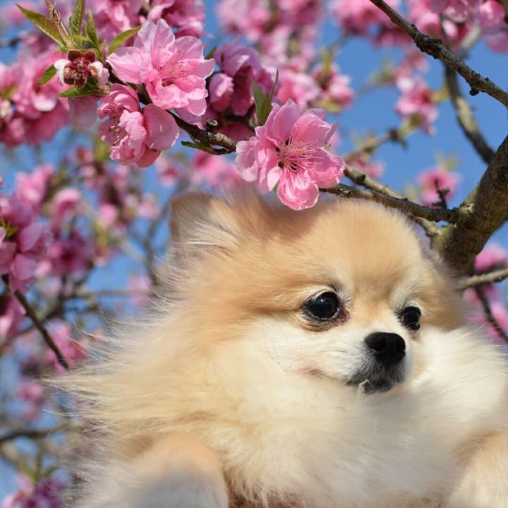 Ef699b99 45cb 45a6 b647 15451bd35601