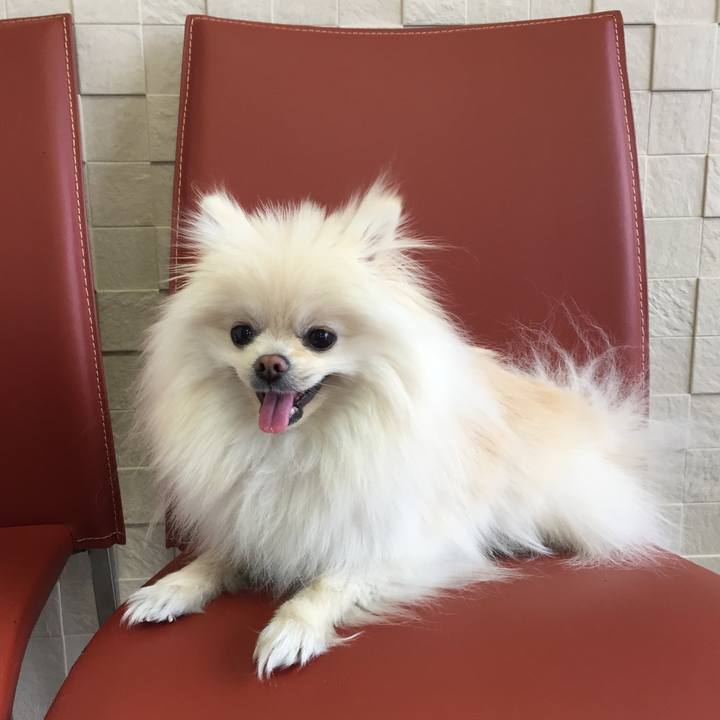 Ef69c336 bd20 479e a80d ce691750419b