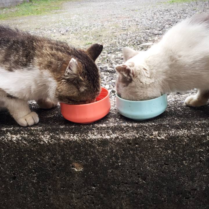 Ef6a1f01 4b6f 462c 9553 cab43a10cdb5