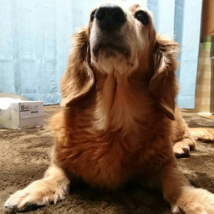 Ef6aeec0 67ac 4e7c a170 f835fdbc9d86