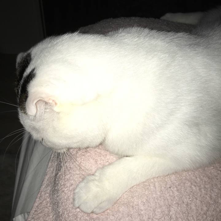 Ef6af8d8 e07c 4709 af49 e9e85049279d