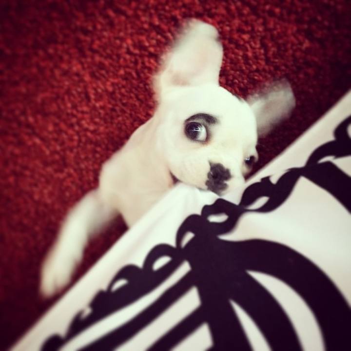 Ef6b0e82 1a28 4905 93c9 b457403cdcd3