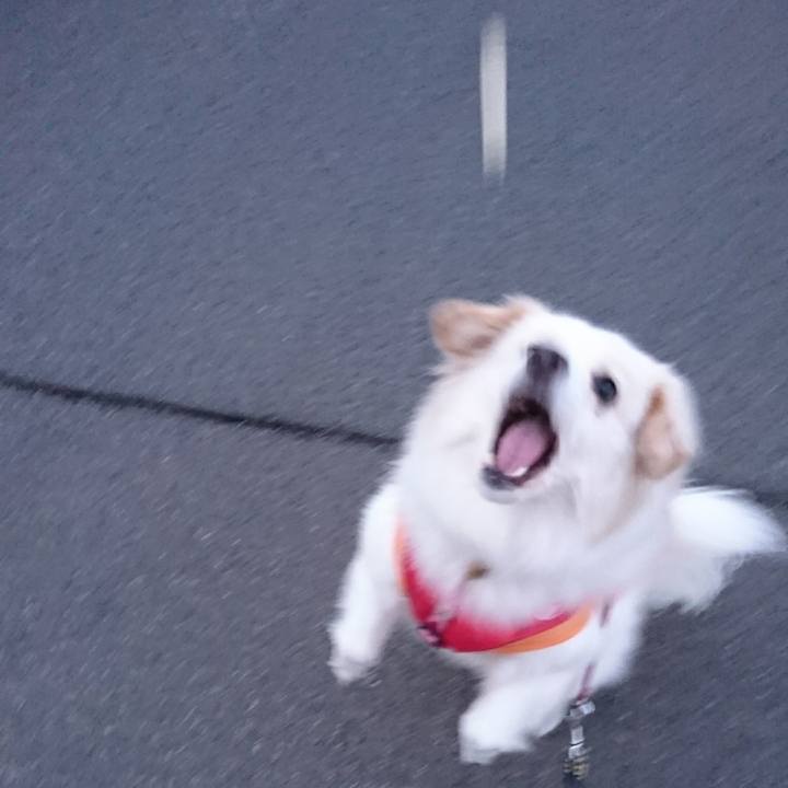 Ef6b1f64 d7e9 4a88 a4cd 2ecf1d4dc0b8