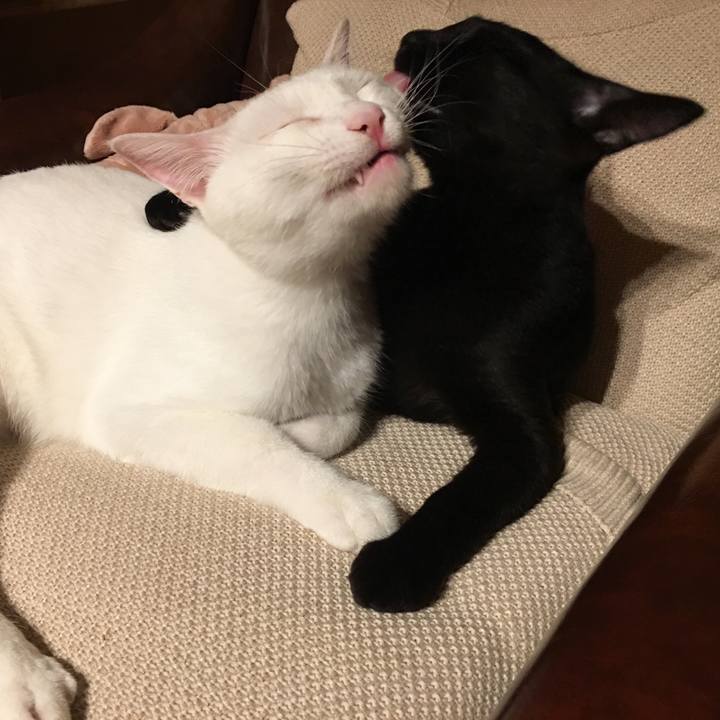 Ef6bdd3e 3083 4c04 a62e 90a17c07a99a