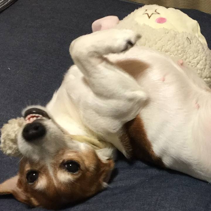 Ef6c1f6b 00fe 481d b71d eb1df1349e5c