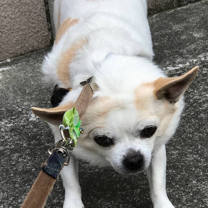 Ef6c4e19 190b 48c5 9461 0266d7612f13