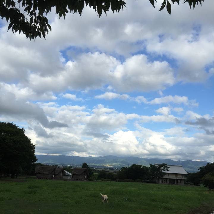 Ef6cd03b d590 496e 86dd a912b07edb44