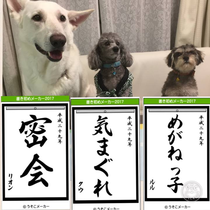 Ef6d45b2 b2e5 4fe6 8256 7551b01f79de