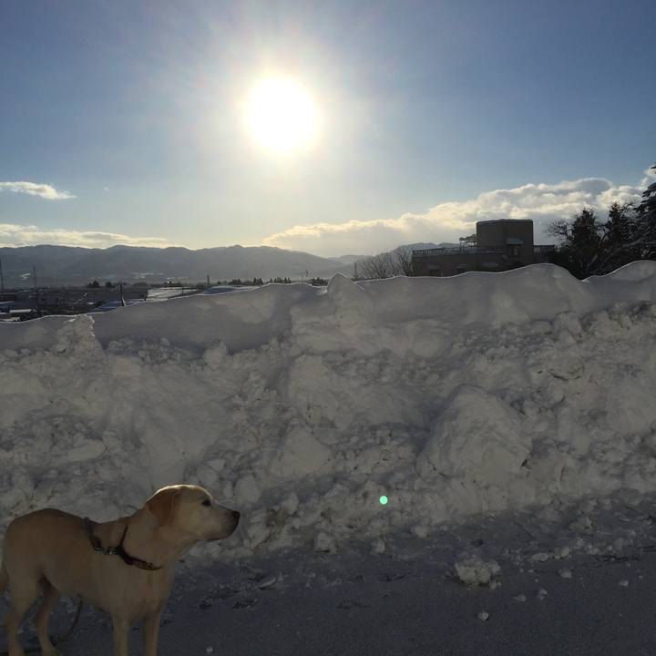 Ef6dbf84 5c88 4bc0 9e0a 9bd40e526da2