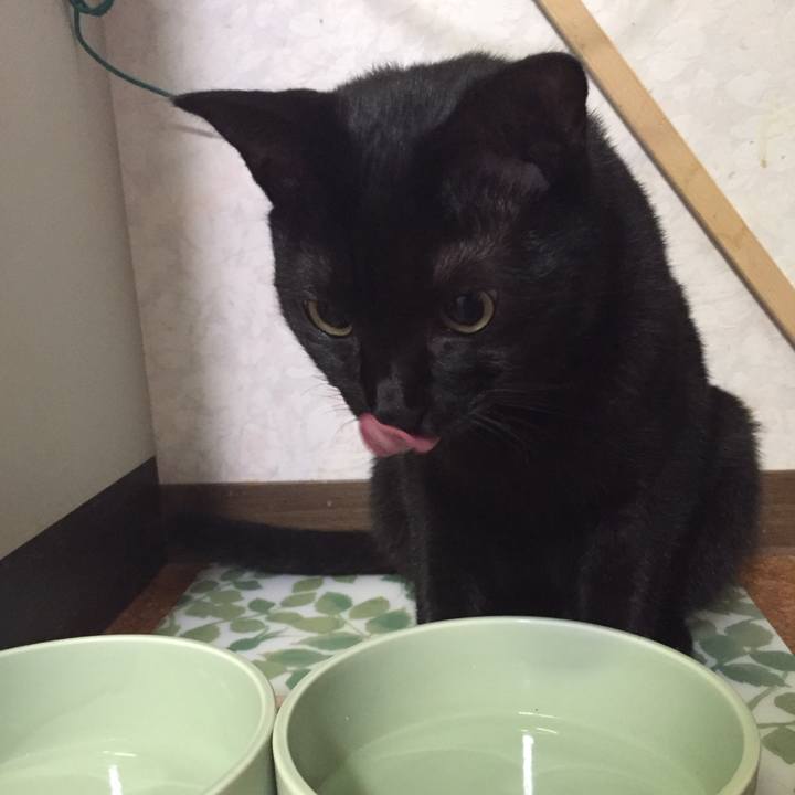 Ef6e18c7 3403 41ca beaa 4cdf667043e0