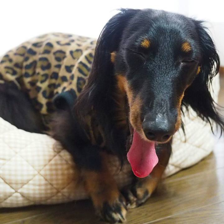 Ef6e855f 7547 4bda b9cb c6238f09fac0