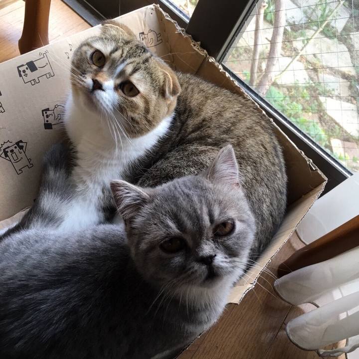 Ef6fc7ec df25 4013 a359 7299e0cd67fc