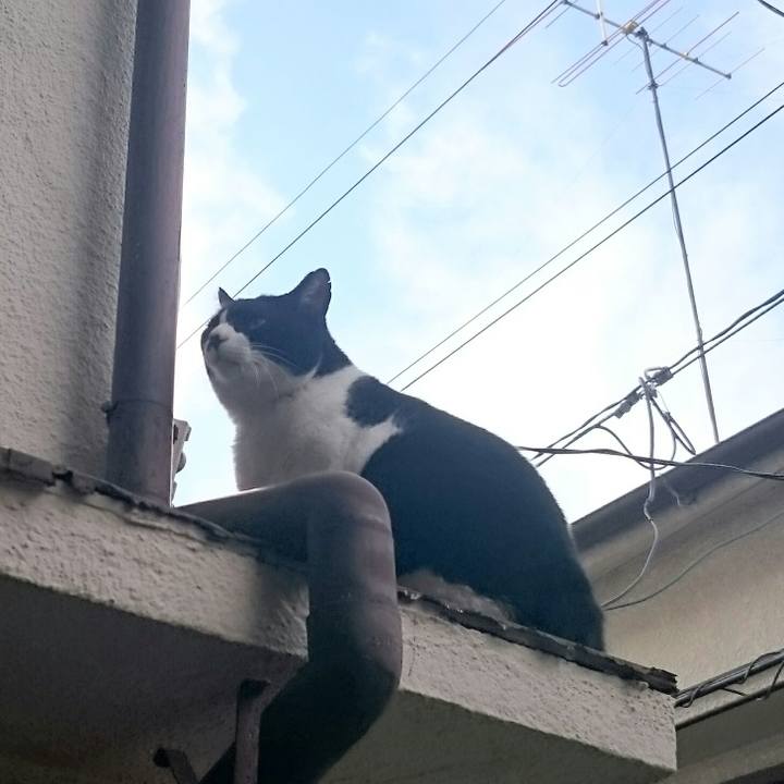 Ef701172 5946 4a43 85b5 5b90db764871