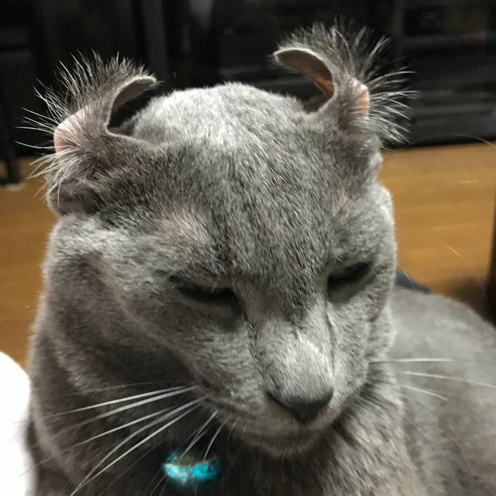 Ef7056fe 93f5 428a 86c1 cc5bafd942cf