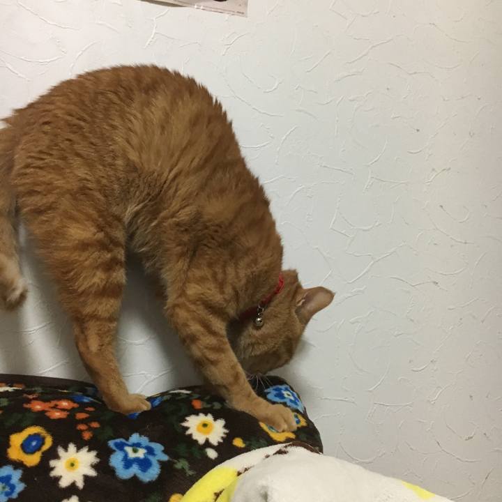 Ef70c844 eb28 4083 b11a 06c5fdd9fdf6