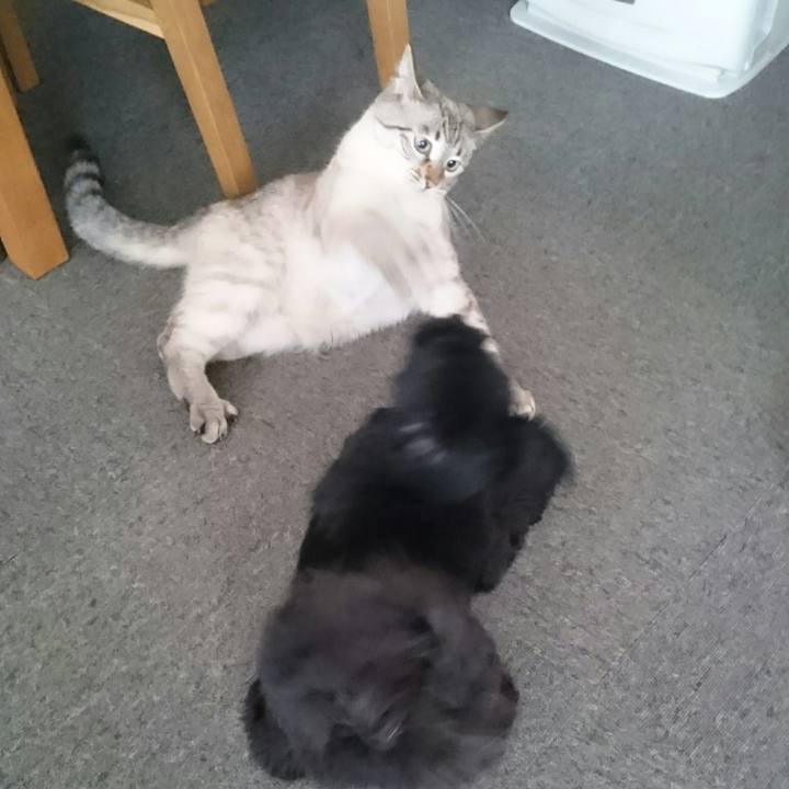 Ef70d22f 1d38 4f0a a461 8474ee5add9e