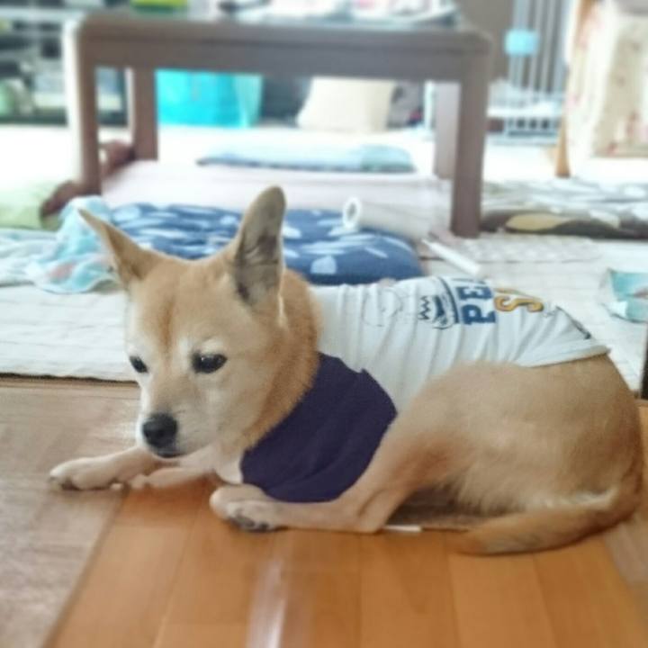 Ef715761 b908 4d07 841c 7d8719036723