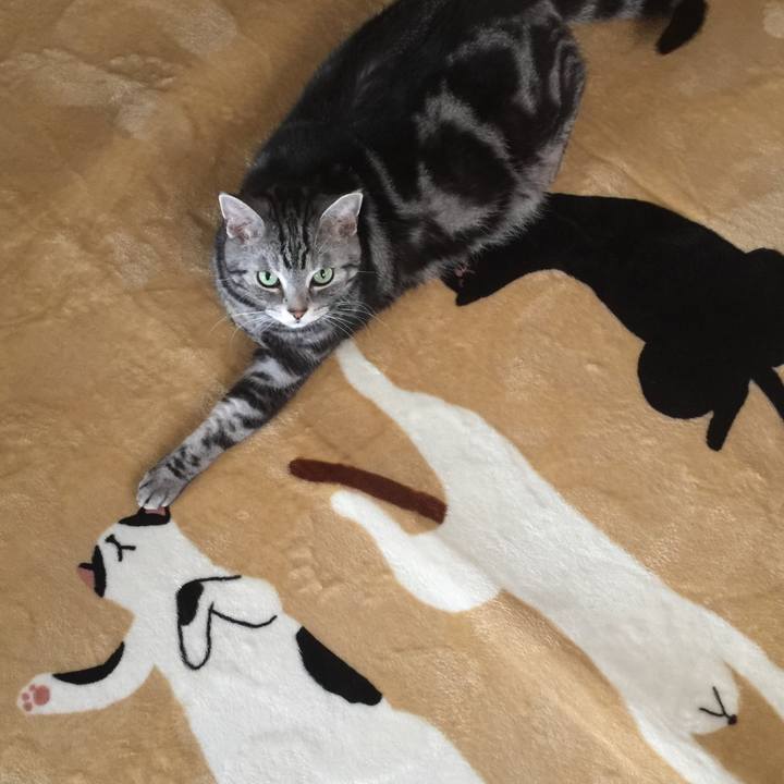 Ef716a9b 4310 4925 881f d8398cea3db6