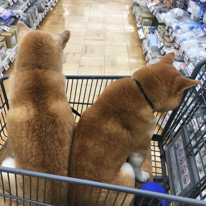 Ef719bd4 22fa 441f 85dd 8b7a1bed973e