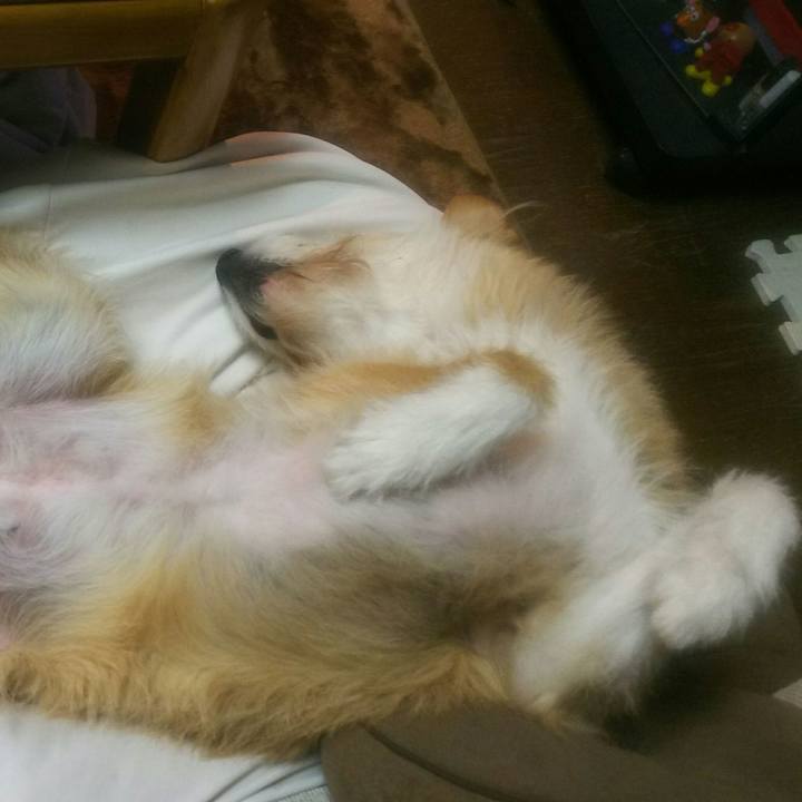 Ef71f9b1 dc42 46ec 8b3c 5ca70dd96238