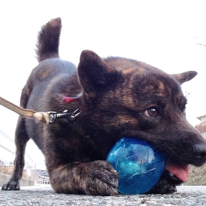 Ef732889 90a2 4462 8814 d8ee4dc937d0