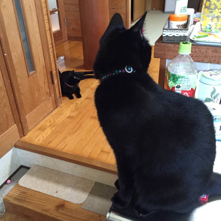 Ef738651 a362 4633 9661 0ff0e2c8cd8d