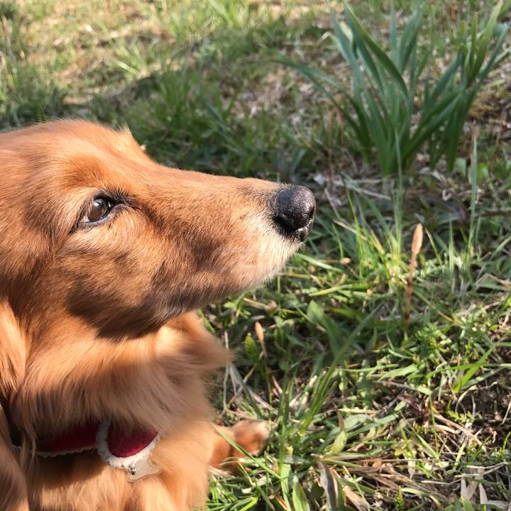 Ef748eaf 1ffc 4437 ad82 7b9f55b1d882