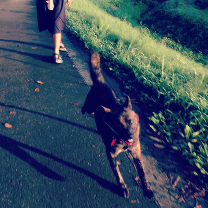 Ef75155d d59d 446a 86fe 190e67e51962