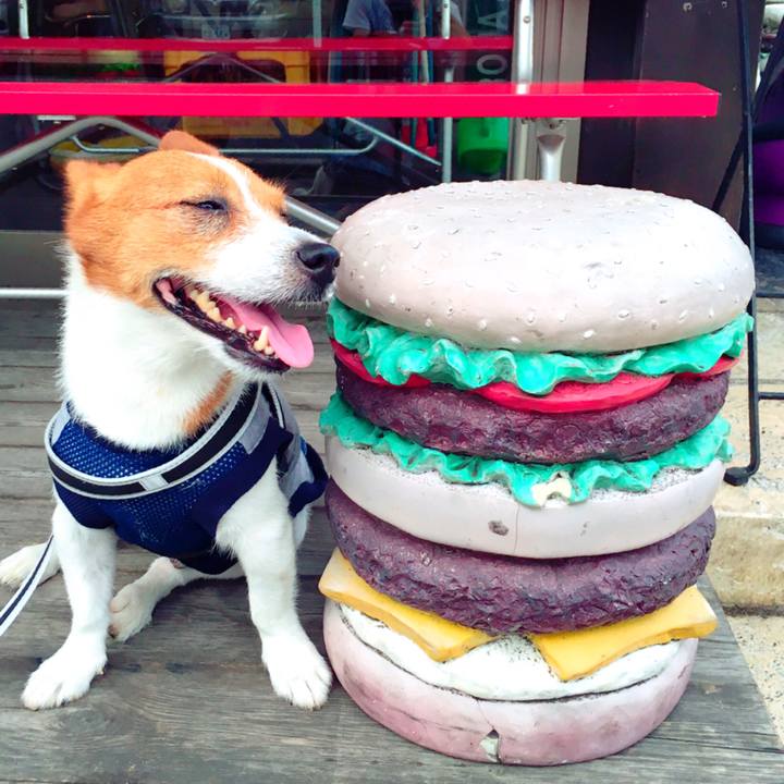 Ef75ac52 c4b1 40c4 a911 c45040b3e2a9