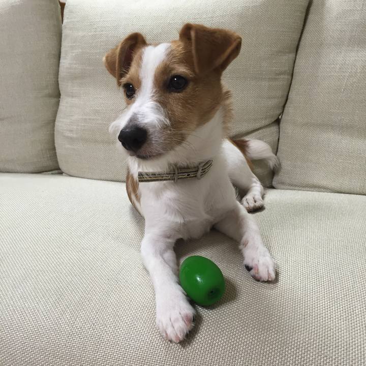 Ef76040b 45ec 4cb0 ba48 4b5789ea88c9