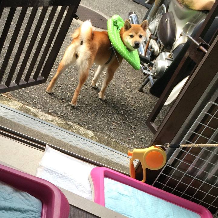 Ef762a30 dcb5 4721 b6a8 3fc161042049