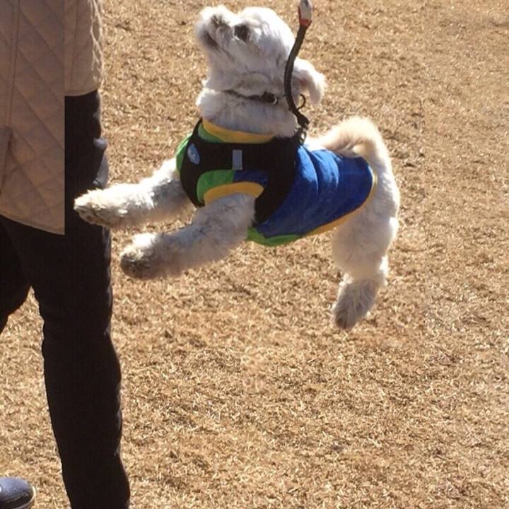 Ef763f5c c506 41db 9b6c 62082c560888