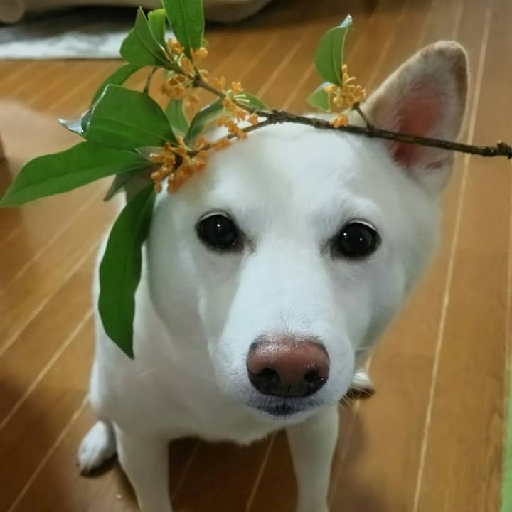 Ef76472b 4f44 4b4f be95 327f5d4a75c2