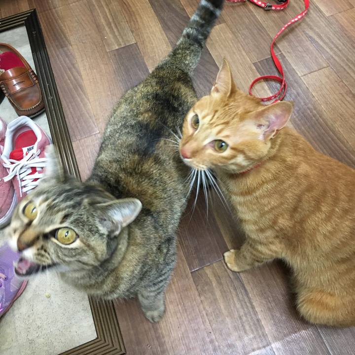 Ef768298 3580 46db a673 ef4ab82ad486