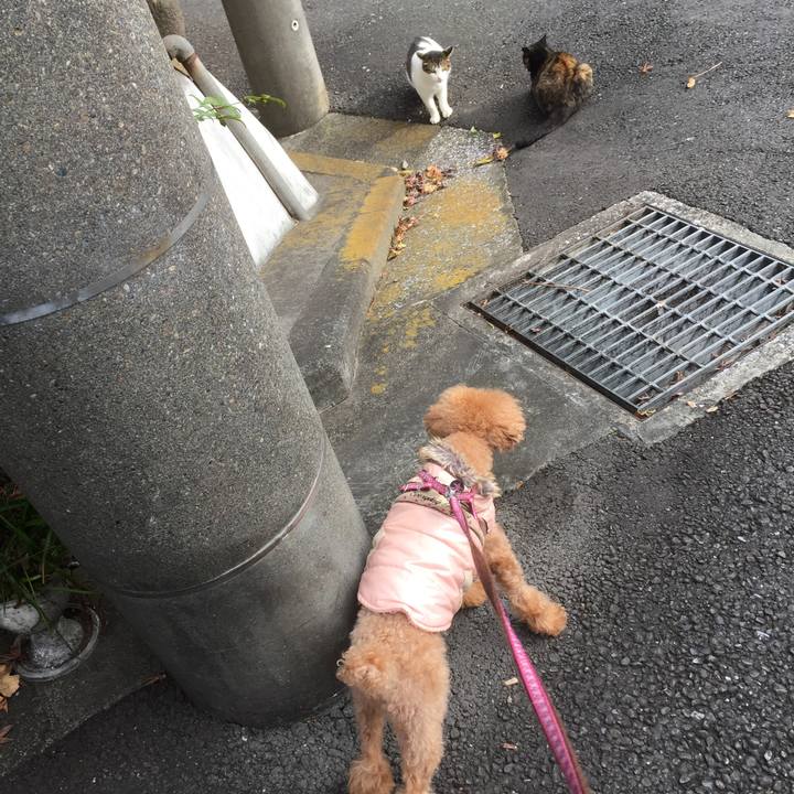 Ef76ffe0 9c85 4d2c 9817 2b8705399a53