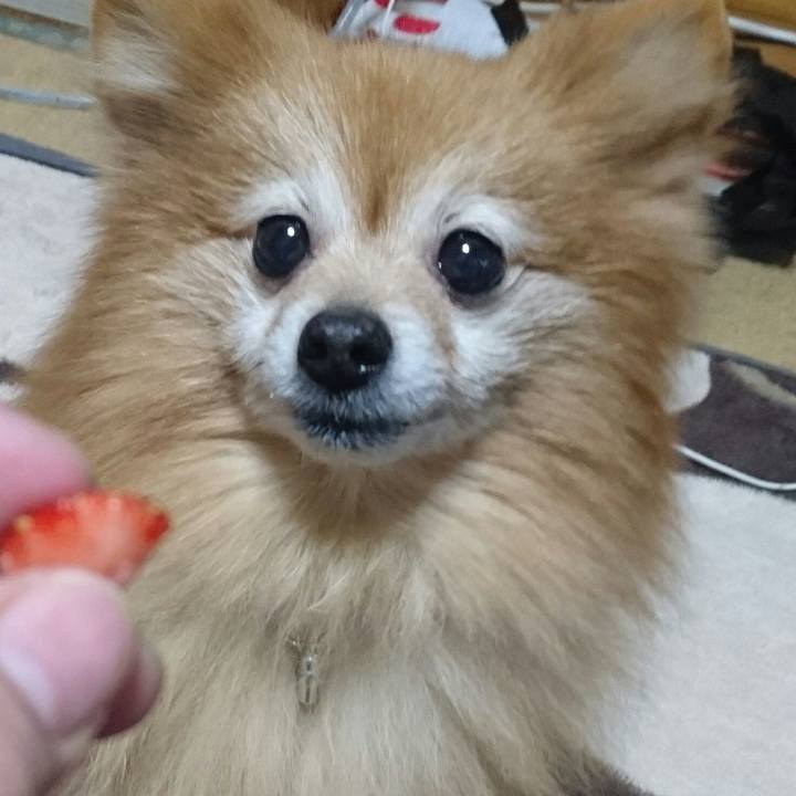 Ef773f52 f398 41f1 9288 56289eb61af4