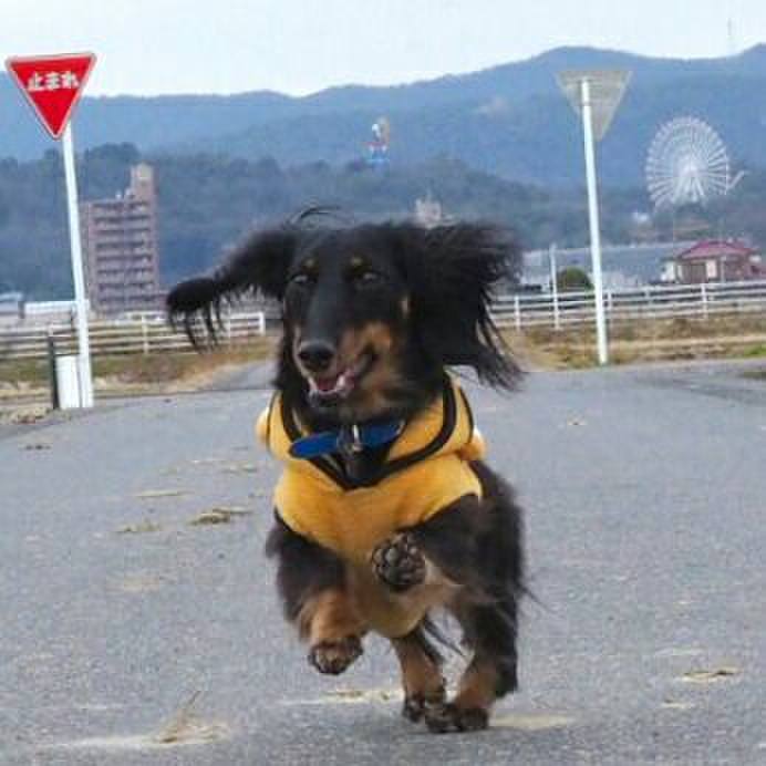 Ef7758f3 698e 4473 a961 a8656bac1e77