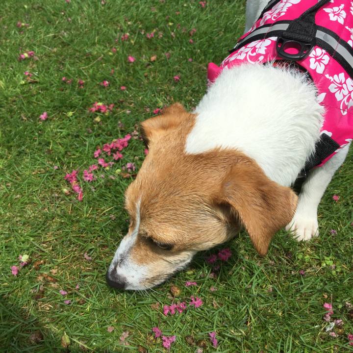 Ef776dff 49e5 418e 9363 6d5789358d2c