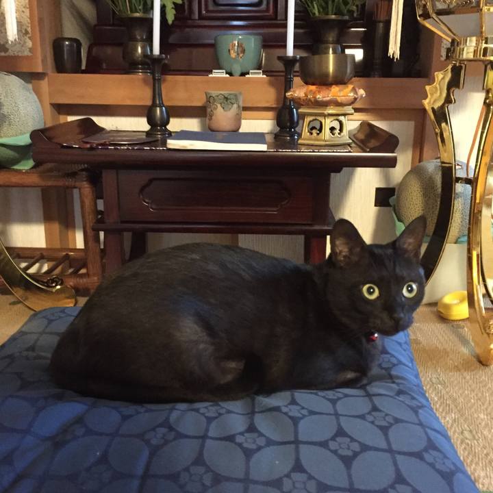 Ef778007 9077 4ff1 a410 f17bc675cf97