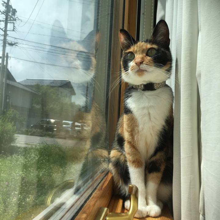 Ef78af08 321e 4b0b aece 20eaac3518c0