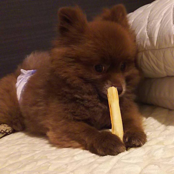 Ef795dd0 5c9a 44cf a4ec 9b21c4eb329f