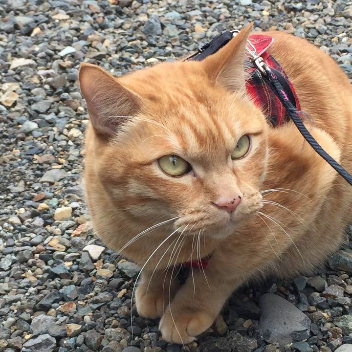 Ef7983d7 a6a3 4b51 9c96 66309528380b