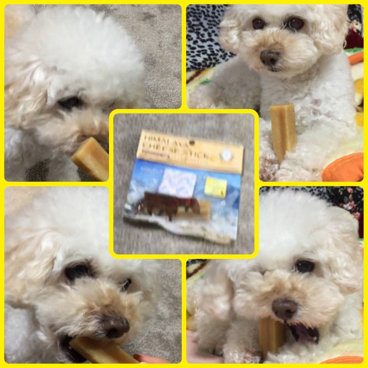 Ef79acda 0e77 407a 8e7f 9f03cbd1f3c5