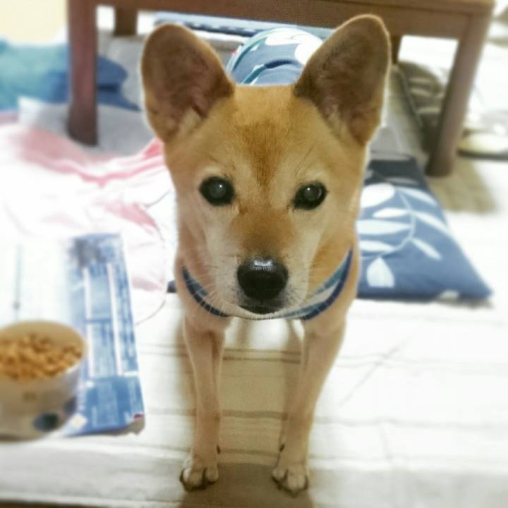 Ef7aa6ba 6aa1 4320 9422 616b1a8e7739