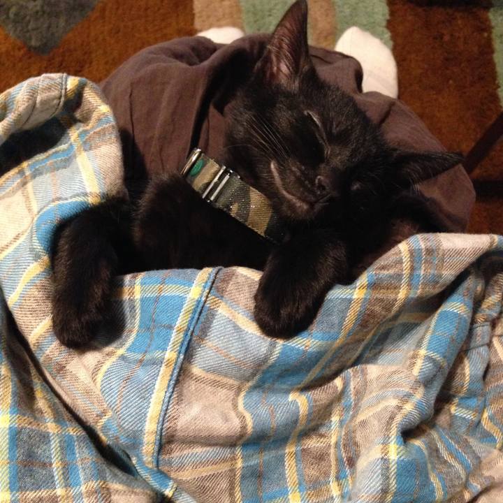 Ef7b23f4 dcdf 49e6 a5b0 6d7e11e746df