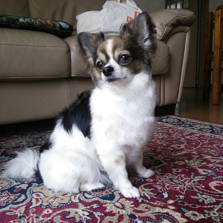 Ef7b5fa6 59ff 4419 a763 729b7a12697c